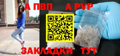 крисы Шебекино