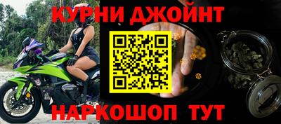 крисы Шебекино