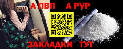 крисы Шебекино