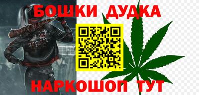 крисы Шебекино