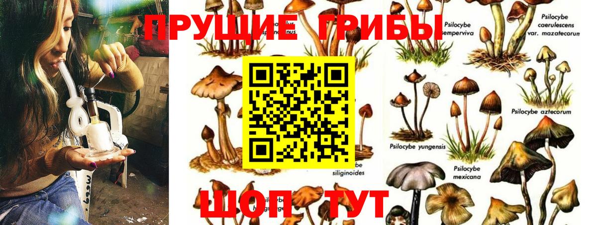 дарнет шоп  Вход с VPN  Набережные Челны  Галлюциногенные грибы Psilocybe 